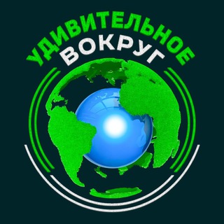 Удивительное вокруг🌍