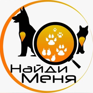 ПРОЕКТ ПОМОЩИ ЖИВОТНЫМ И ПТИЦАМ "НАЙДИ МЕНЯ"