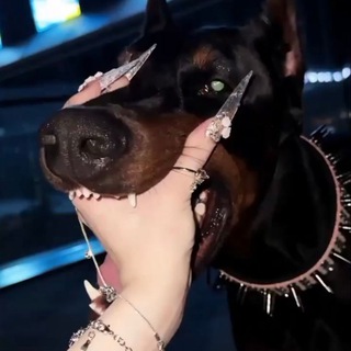 Госпожа Уфа | Встречи и Тема Башкирия