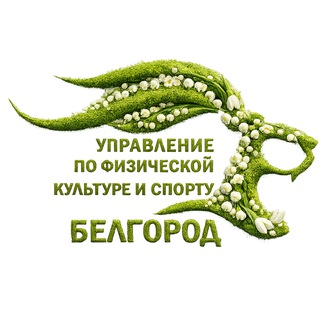 Спорт Белгород