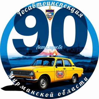 Госавтоинспекция МО 51