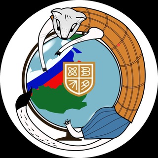 Солнечное сплетение