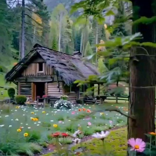 ✨Уголок для души✨