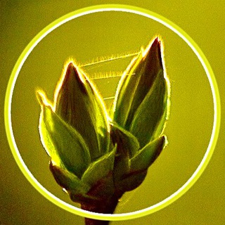 Паломнический центр УГРЕША