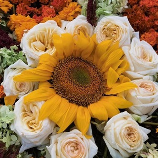 Украшаем Землю🌿🌹🌲🙂