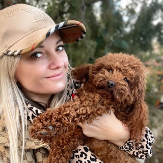 Той Пудель Юлия,мальтипу,кавапу ,помапу