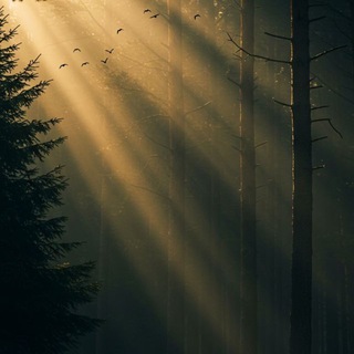 улика из прошлого.