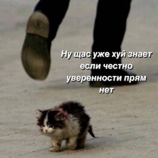 ultimate female experience