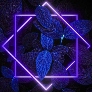 Подписки Ps Plus | Турция & Украина