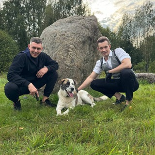 Жена Джокера