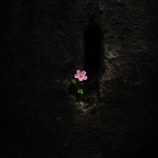 свет знаний