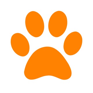 У нас лапки 🐾