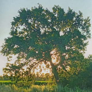 колонка из подполья 🧙🏻‍♂️☮️