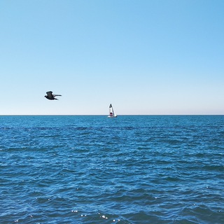 Внеплановый пит-стоп