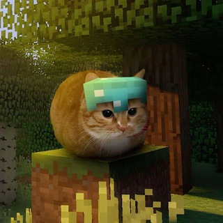 Дурка Unfi1d'а