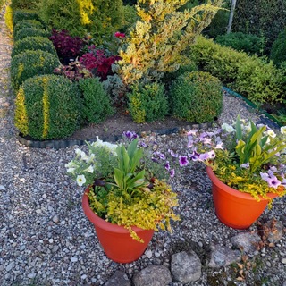 У Нины в саду