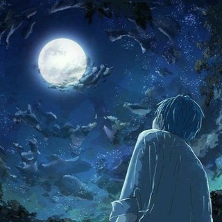 Universe AniCard 🌙