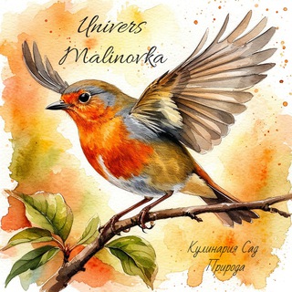 𝓤𝓷𝓲𝓿𝓮𝓻𝓼𝓮 𝓜𝓪𝓵𝓲𝓷𝓸𝓿𝓴𝓪