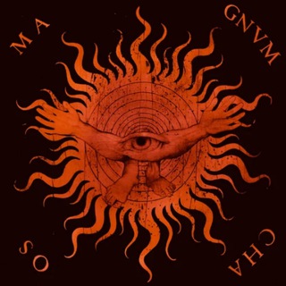 Университетовед