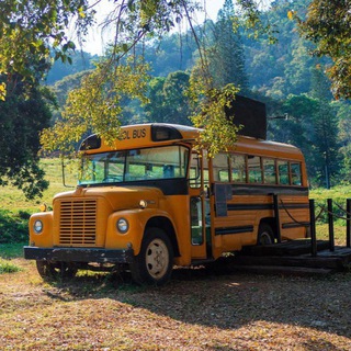 А как же социализация