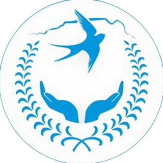 Артур Кокаев