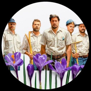 Управляй-ка!