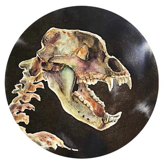 Cave Bear Ural (Уральский пещерный медведь)