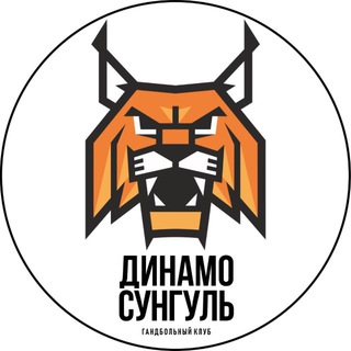 ГК «Динамо - Сунгуль»