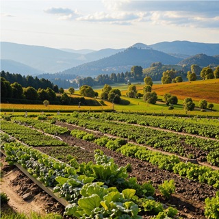 Уральские сотки