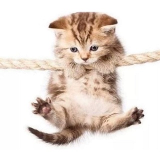 качественный контент