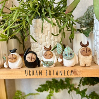 Urban botanica