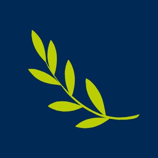 Юридический бизнес России