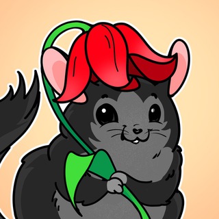 UrChinChi🐾Мыш и картиночки