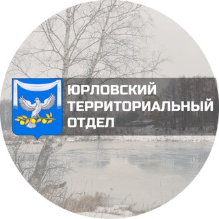 Борисово-Юрловский ТО