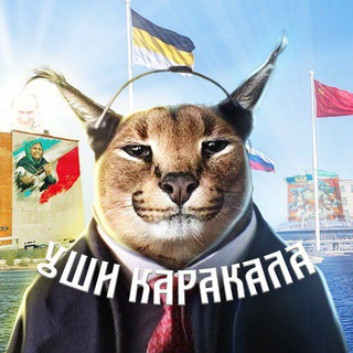 Уши Каракала 🅉