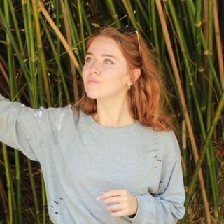 🌿Usvay Jungle Book🪴