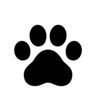 Поднять хвосты!