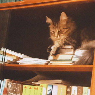 Поэтесса – утопистка. 📖