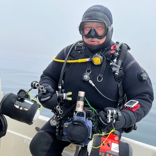 Дайвинг на севере Приморья andrey_shpatak Lucky Octopus Lodge