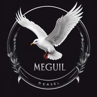 Дерзкая чайка ориентируется по звездам