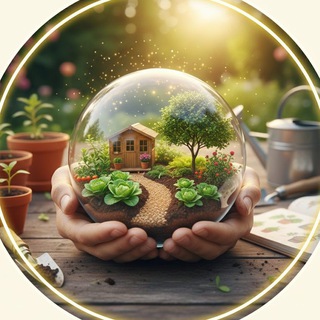 🌳 Уютный участок