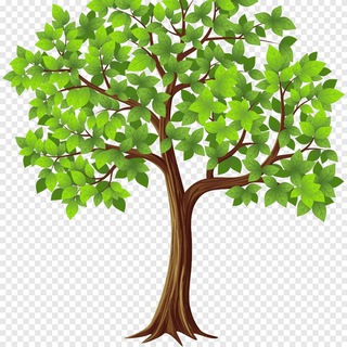 Родословная с Ириной Фиалко