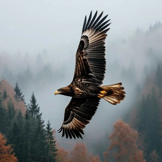 🌎В дикой природе | природа | животные | красивые пейзажи | интересные факты