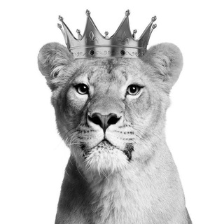 В мире дикого шмота