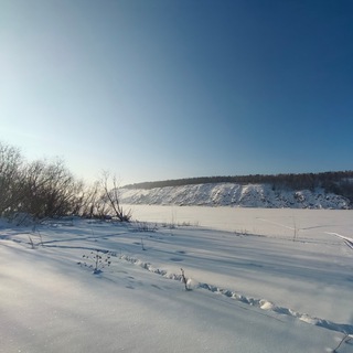 "Томская Писаница" : взгляд изнутри