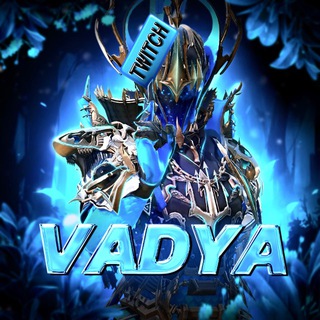 🌏VADYA CHANNEL🌏