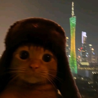 Pikо /official page