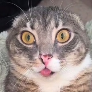 Вам пуш, пюш