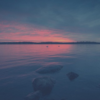 Ванильный рыбак