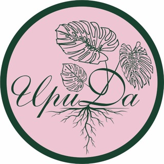 Комнатные Растения | Вариегатные